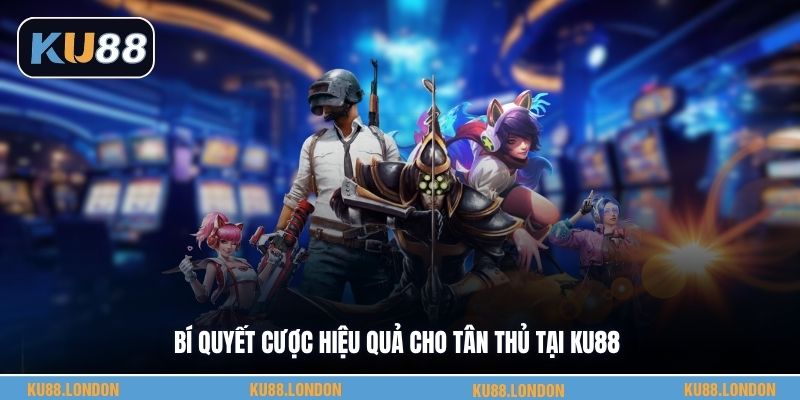 Bí quyết cược hiệu quả cho tân thủ tại KU88
