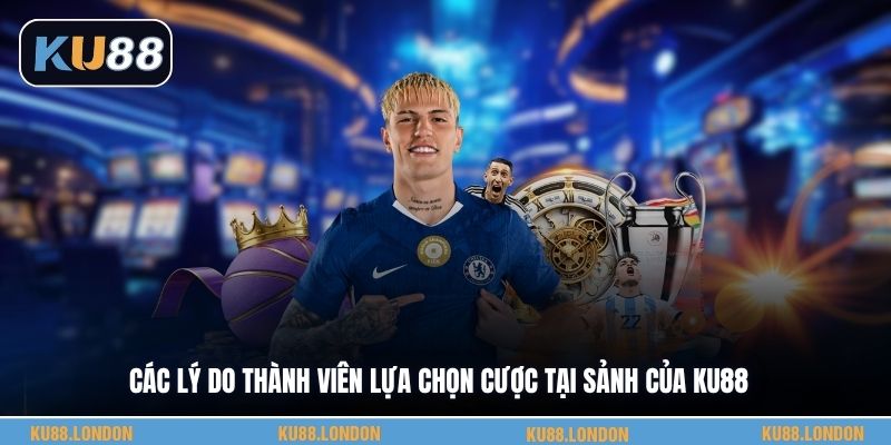 Các lý do thành viên lựa chọn cược tại sảnh của KU88