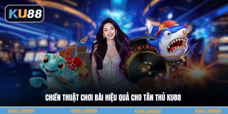 Chiến thuật chơi bài hiệu quả cho tân thủ KU88